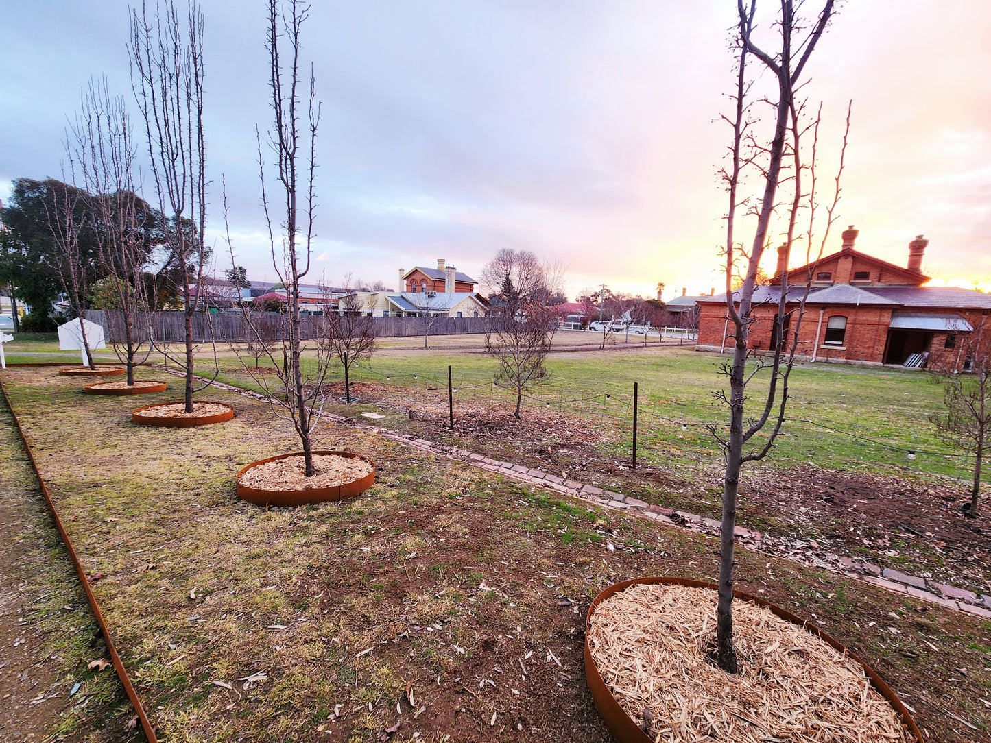 CoreEdge Steel Garden Edging