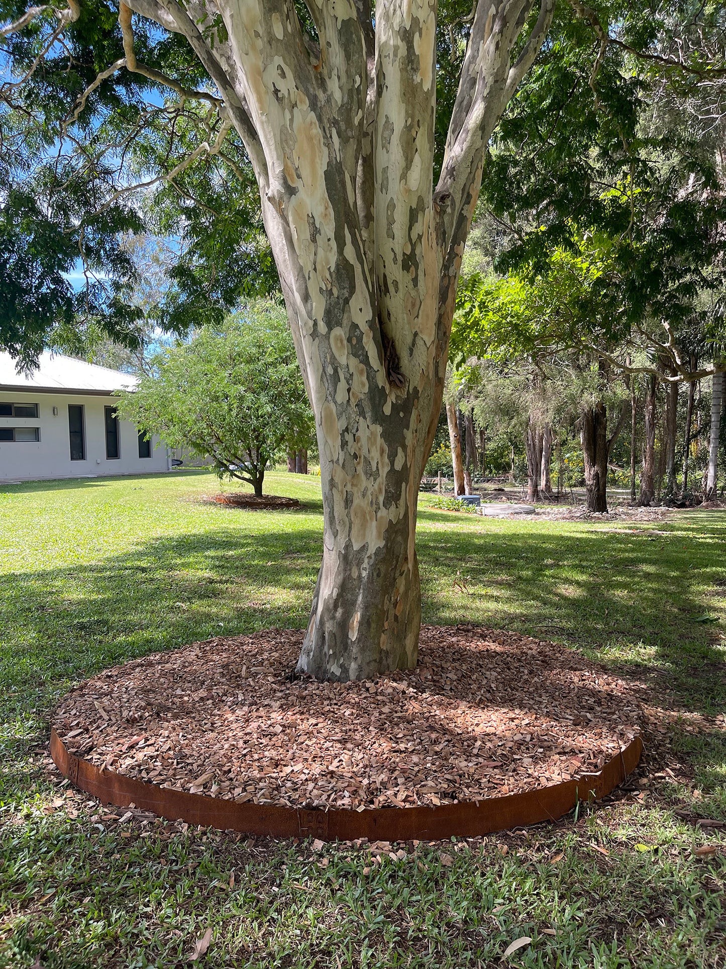 Corten Steel Garden Elegant Edging - price per 1075mm length